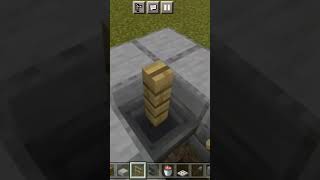 RARE ITEM FISHING 🎣 in minecraft java