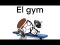 El gimnasio
