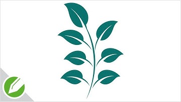 Green Leaf Branch Drawing with CorelDraw | Flat Vector Style | Drawing | CorelDraw Tutorial
