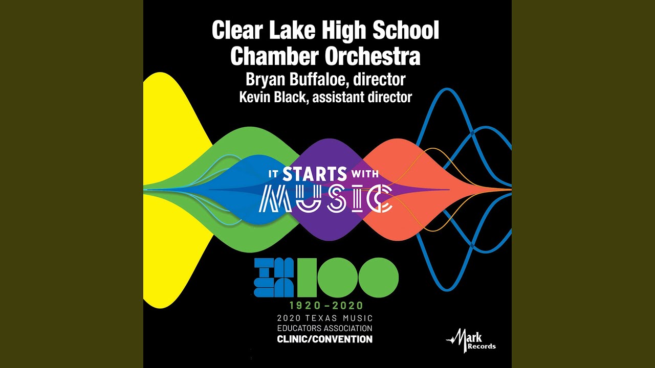 Ver String Quartet No. 3 in F Major, Op. 73: II. Allegro non troppo (Arr. for String Orchestra)... en YouTube