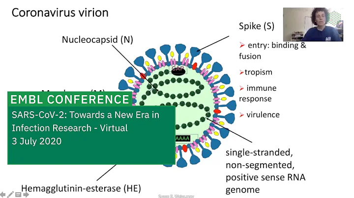 Susan R. Weiss - Coronavirus biology: features com...