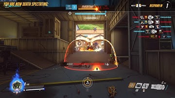 Overwatch Payload Bug