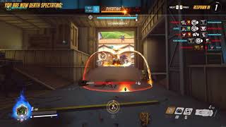Overwatch Payload Bug