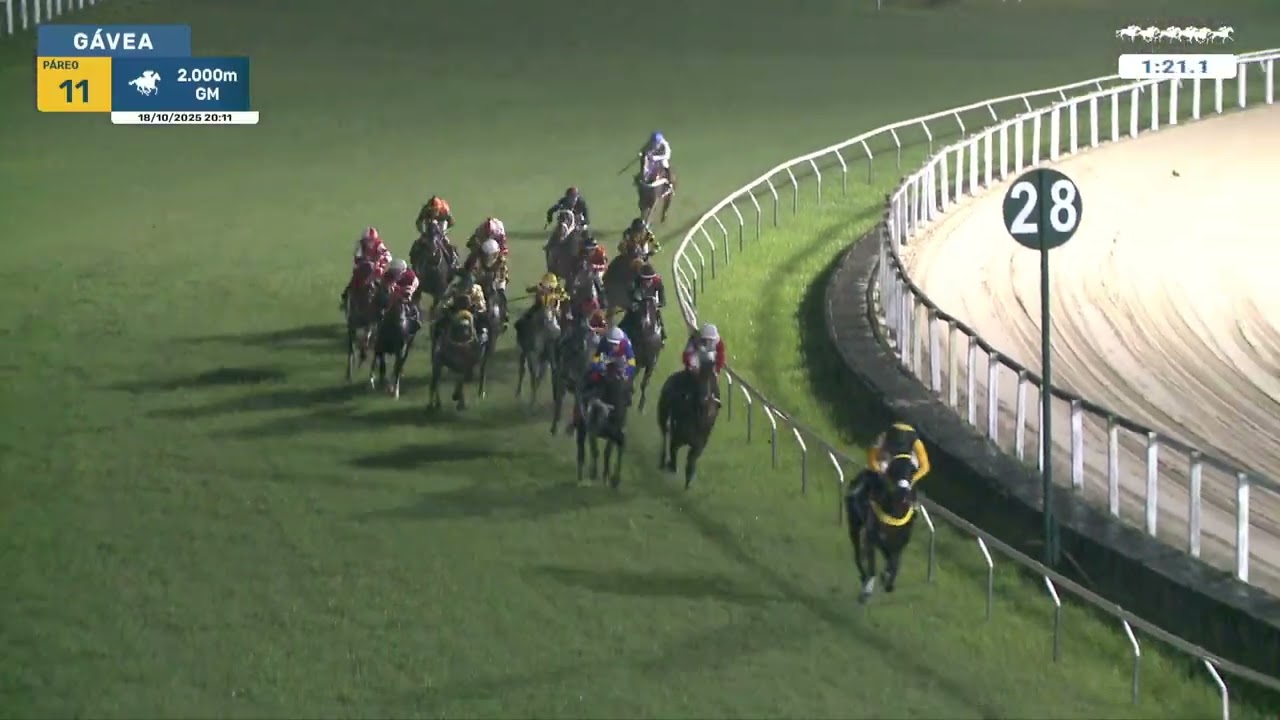 Gávea 18/10/2025 Páreo 11