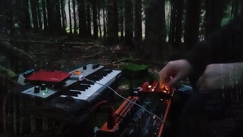 Ambient forest loop at dusk - blissful jam with live birdsong, Korg microkorg XL and Behringer crave
