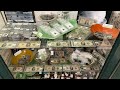 Antique Store Update #4 ~ Old paper Currency Stacking ~ With Twin Cities Adventures 💵💸💰💴💵💰💸