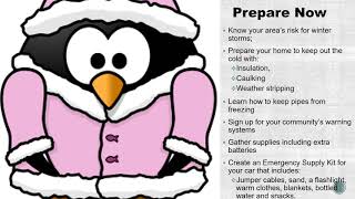 Disaster Trainings for Employees -  Snowstorms & Extreme Cold