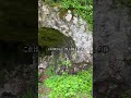 旧国道13号 栗子隧道(2023年) #廃道 #隧道 #shorts