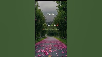 تلاوة عطرة #اكسبلور #المصحف #الرحمن #دويتو #duet #راحة_نفسية #العظماء #لايك #الظروف