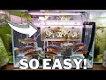 Breed 1000s of celestial pearl danios with this diy egg trap