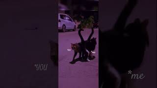 Who Do You Think Of?