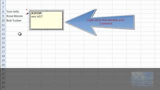 Celebrity Insert Comments in Excel 2007 (for beginners) Net Worth