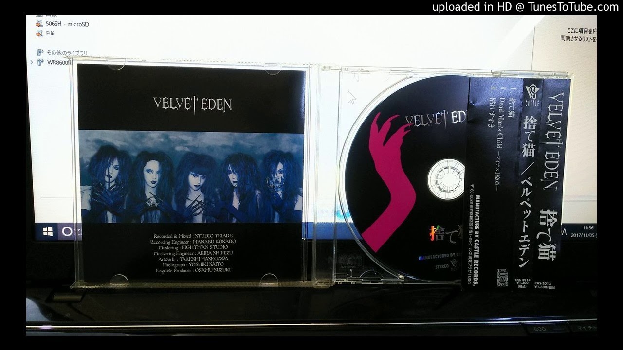 VELVET EDEN～捨て猫 「V系」 - YouTube