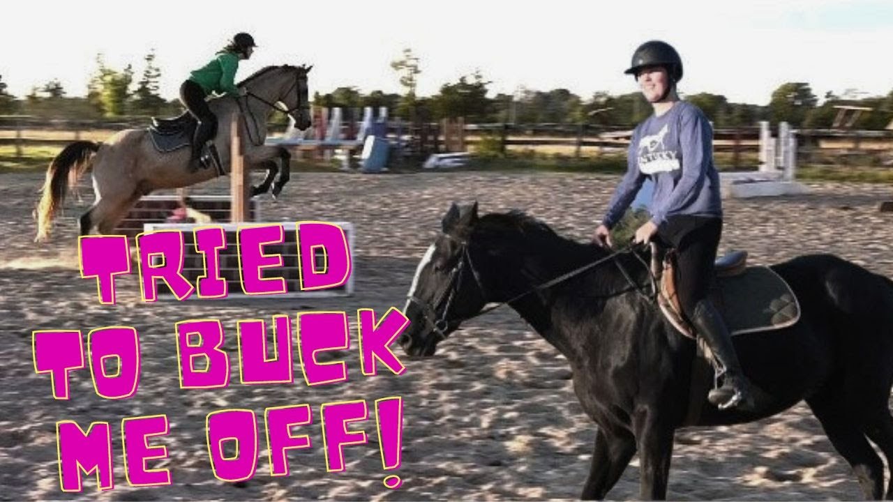 He Just Tried To Buck Me Off! YouTube