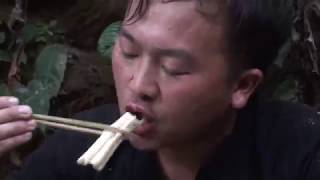 Download Lagu Hmong primitive eat plam fruit tree in the jungle ncu toov laj noj Tom hav zoov MP3