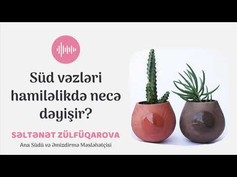 Video: Süddə həssaslıq hamiləlikdə gəlib gedirmi?