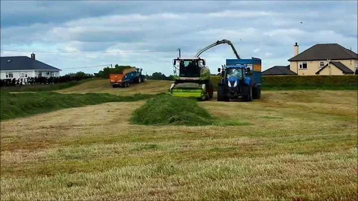 Bobby Hynes and Sons - Last of Second Cut 2015
