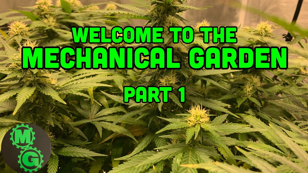 Welcome to the Mechanical Garden