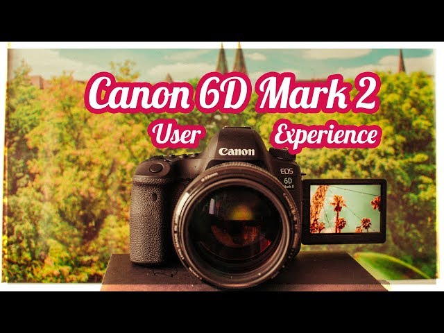 Canon 6D Mark 2 - the Ultimate Review - YouTube
