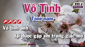 [Karaoke] Vô Tình Lâm Hùng