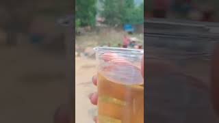 Hmoob Lub Neej Toj Siab