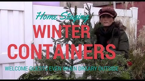 Home Staging Winter Container Ideas