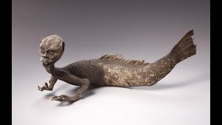 Самые необычные создания которых видели но не знают кто это. Бакстанская русалка. Док. фильм. Самые необычные создания которых видели но не знают кто это. Бакстанская русалка. Док. фильм.