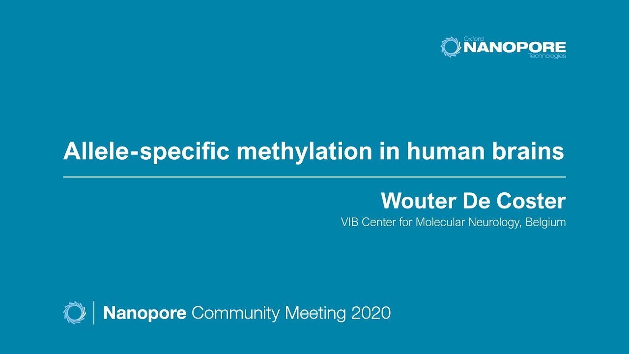 Allele-specific methylation in human brains