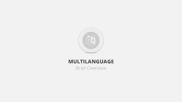 Multilanguage WordPress Plugin - Brief Overview