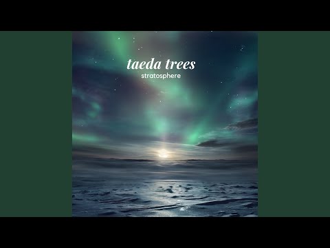 Taeda Trees - Into the Infinite mp3 ke stažení