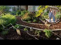 Permaculture Garden Design: Suthi and Sanjay Nagar