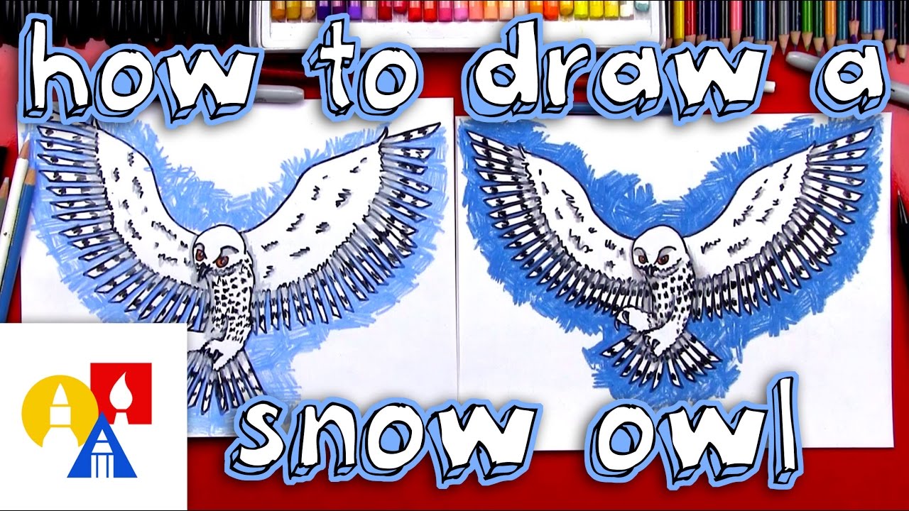 How To Draw A Flying Owl - Employeetheatre Jeffcoocctax