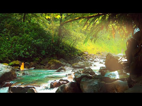 Buddha S Flute Remove All Negative Energy Anxiety Aura Cleanse Healing Flute Music