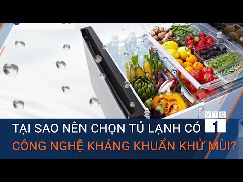 Tại sao nên chọn tủ lạnh có công nghệ kháng khuẩn khử mùi? | VTC1