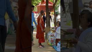 វត្តតាសុតថ្ងៃនេះ#ព្រះអង្គចន្ទមុន្នី#តាសុត#តាហុីងtv#វត្តបាក់ចញៀន 4
