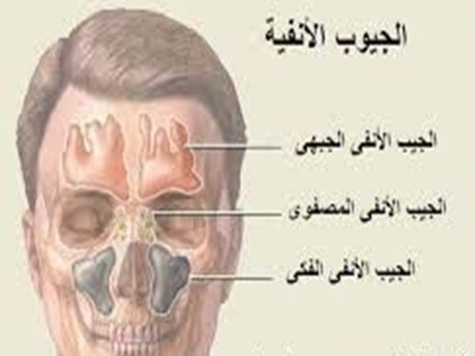 الجيوب الانفية الدكتور فهيد السبيعي PARANASAL SINUSES . - YouTube