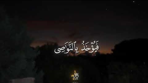 يعرف المجرمون بسيماهم (سورة الرحمٰن) || 40_45 || القارئ: محمد اللحيدان محمد_اللحيدان