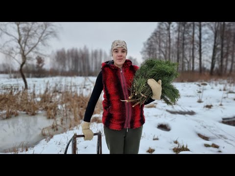 Video: Tradisi Natal di Ukraina