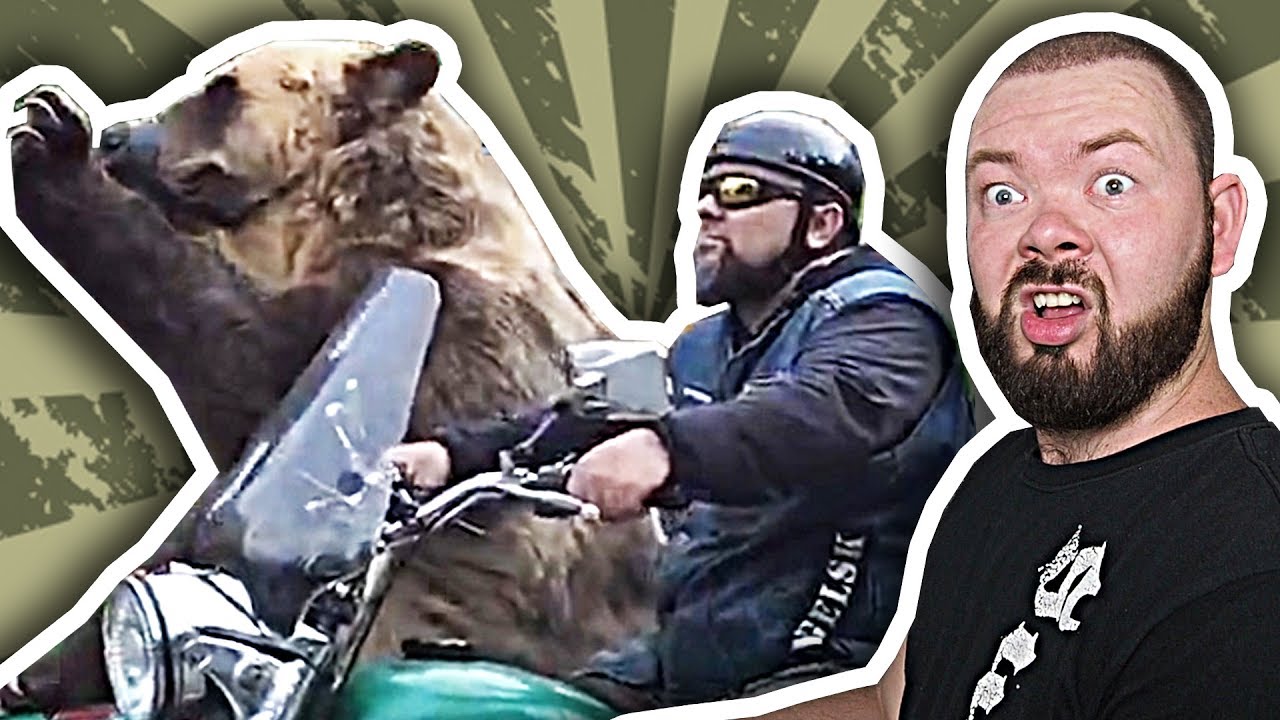 UN OURS SUR UNE MOTO – Daniil le Russe