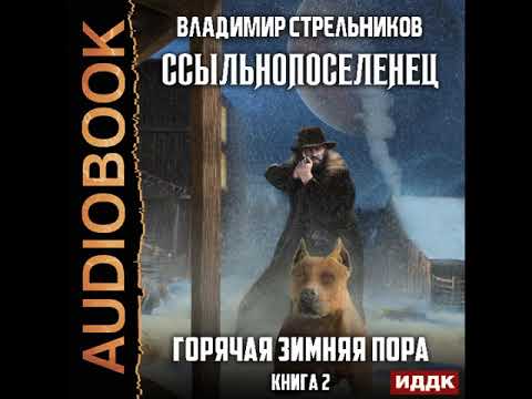 2001860 Аудиокнига. Стрельников Владимир "Ссыльнопоселенец. Книга 2. Горячая зимняя пора"