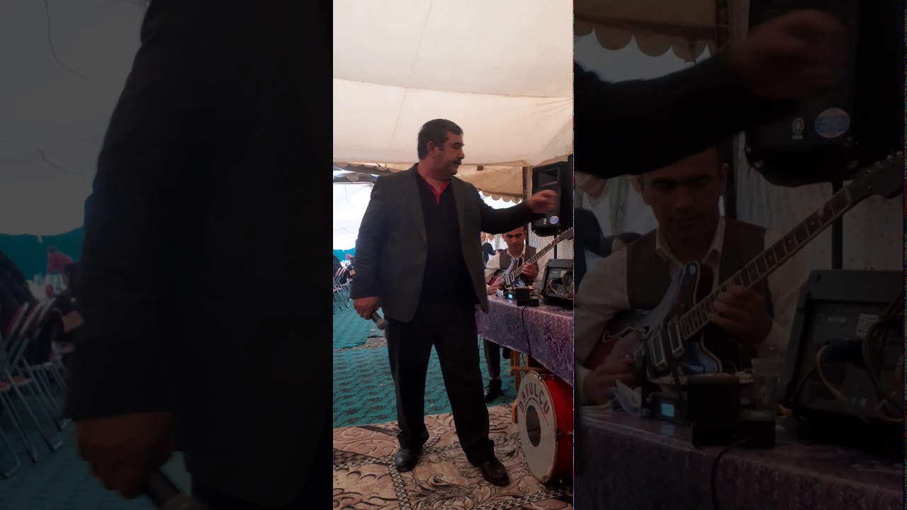 Telman terterli kebrli kendi