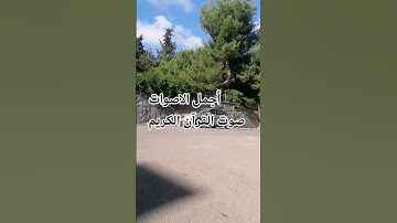 اللهم♥️🤲🌹 اجعل القرآن ربيع قلوبنا ونور صدورنا# #المصحف#راحة_نفسية#اكسبلور #القارئ ماهر المعيقلي