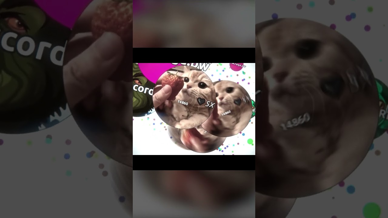 Agar.io edit (montage) Part 2 | 