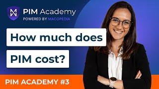How much does a PIM implementation cost