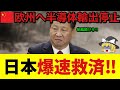 【ゆっくり解説】欧州で半導体停止!中国が輸出規制!しかし日本が爆速の救済!