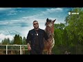 EDGAR, Рада Рай - Цыганка | Премьера клипа 2025