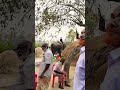 বন্যপ্রাণী হাতি 🐘🐘🐘🐘🐘🐘 দিয়ে রাস্তাঘাটে, গ্রামেগঞ্জে মানুষকে ধরে ধরে টাকা উঠানো হচ্ছে।
