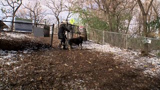 Minnesotans React To Below Freezing Temps In The Twin Cities