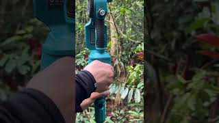 You Won’t Believe What This Chainsaw Turns Into..