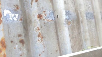 Nhà khu công nghiệp Tay Bắc 0365570966